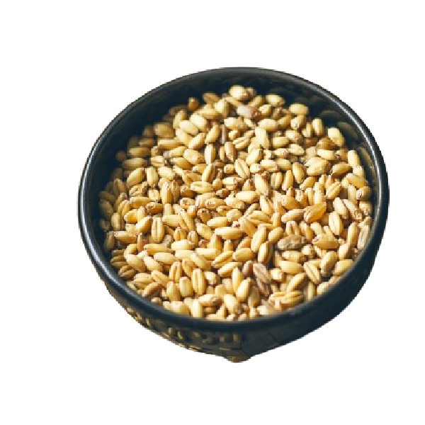 Barley img1