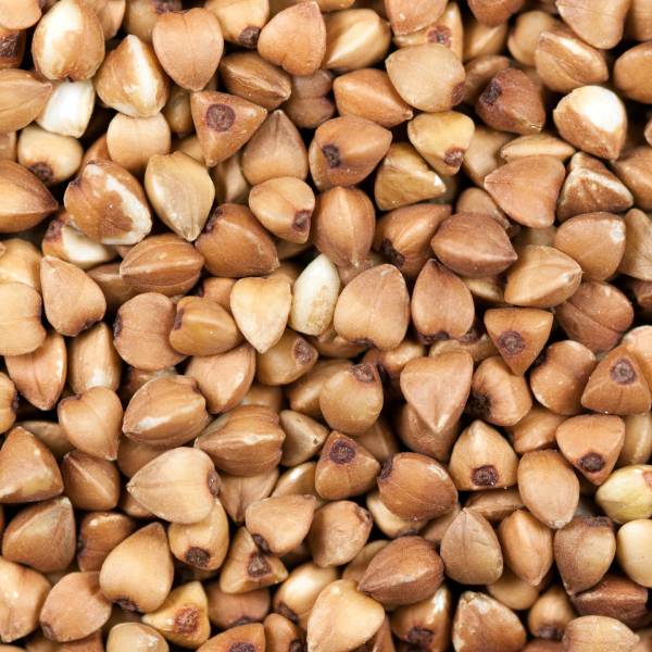 buck-wheat-img