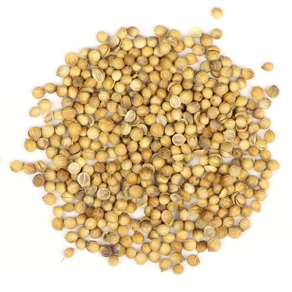 coriander-img