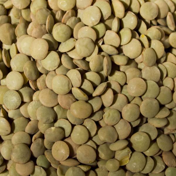 green-lentil-img
