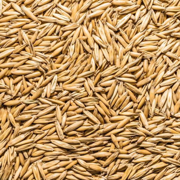 oats-img