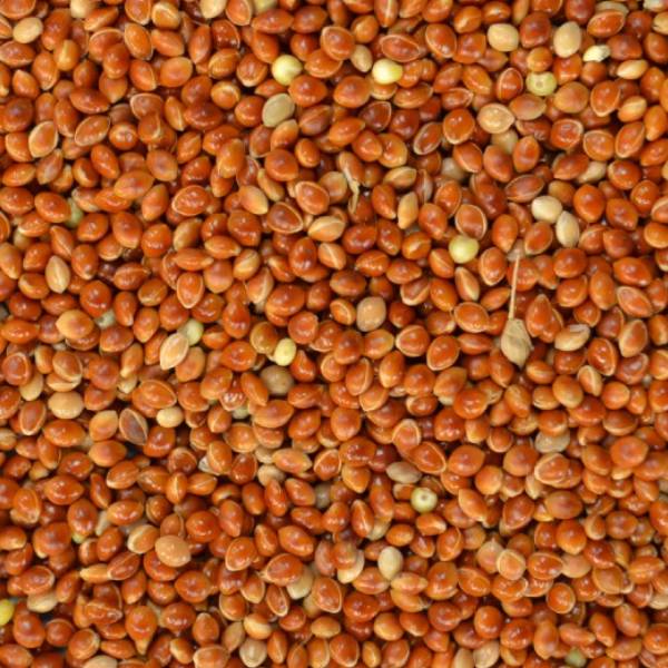 red-millet-img