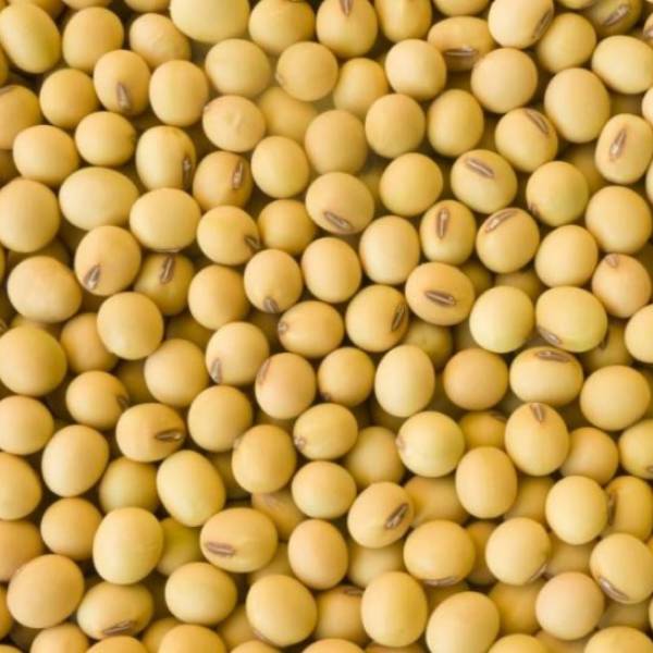 soya-img