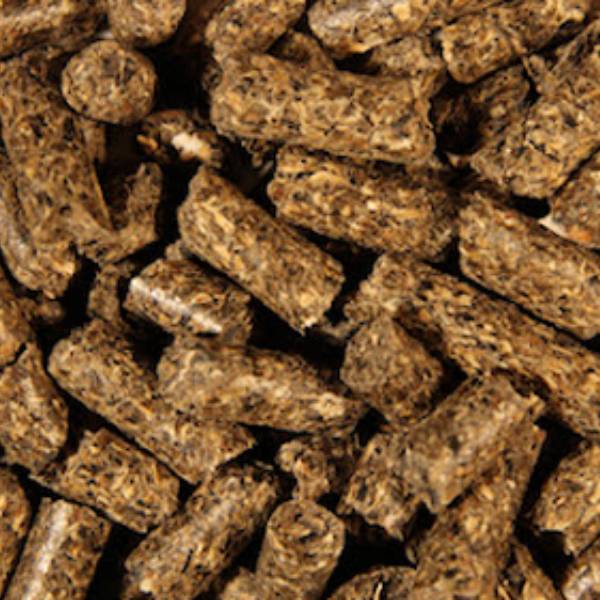 sunflower-pellet-img